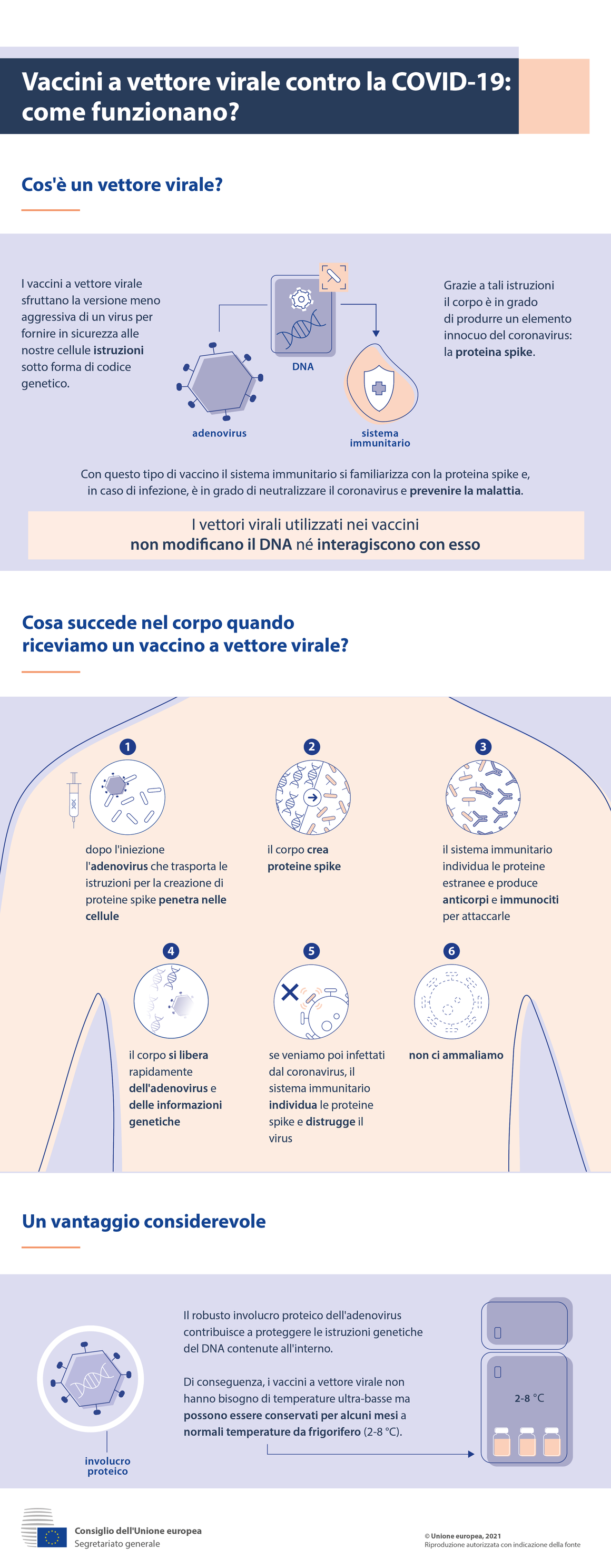 Viral vector vaccine infographic IT